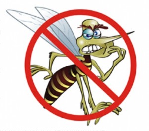 eliminar-mosquitos